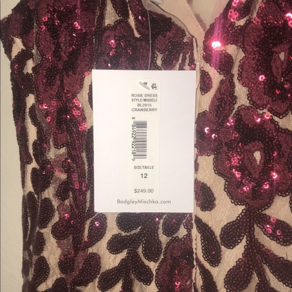 Belle badgley mischka cranberry dress - Picture 4 of 5